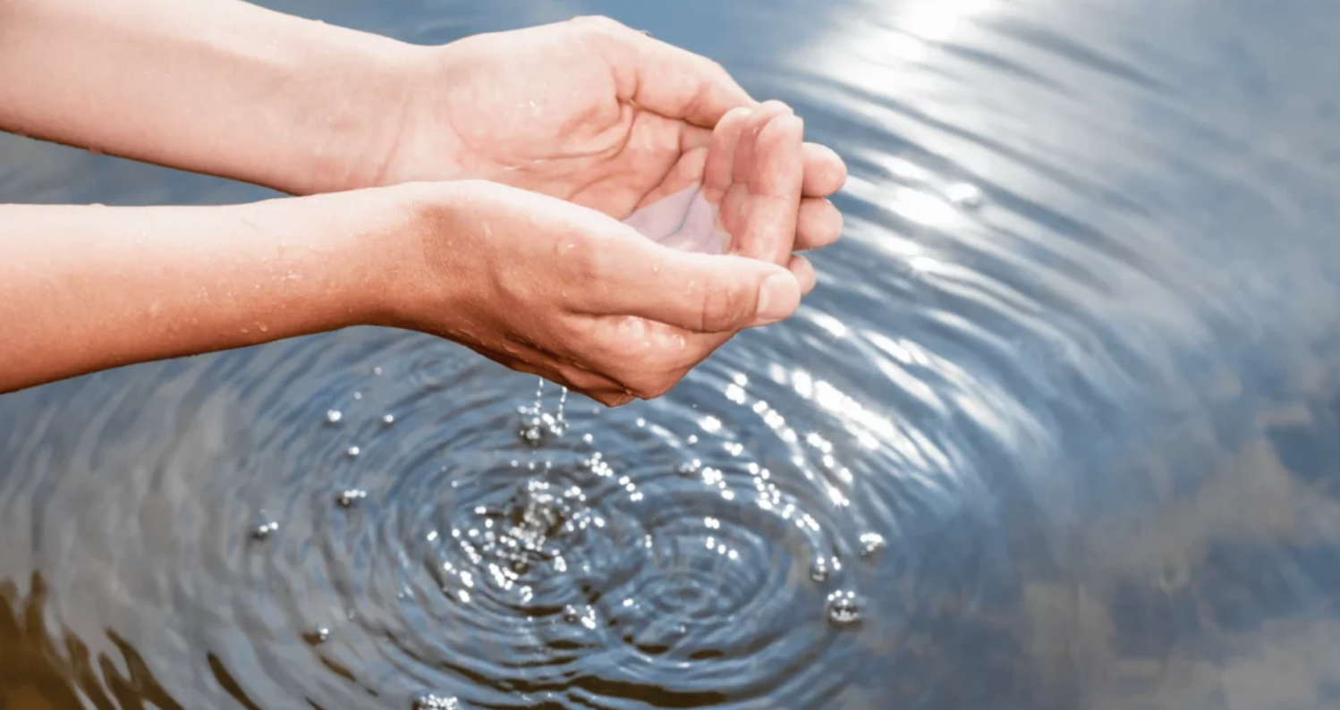 Water: The Essence of Life – Consciousness, Memory, and Vibrations
